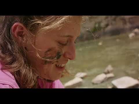 שמש חמה מדי - טיזר