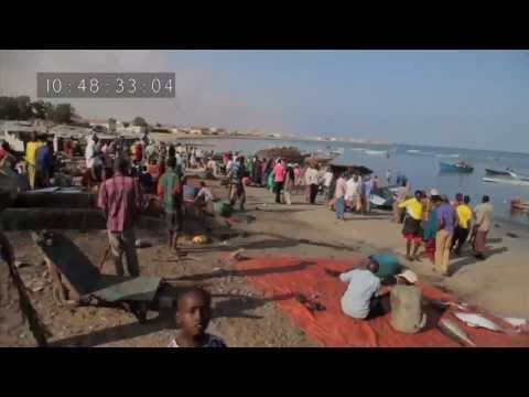 Pirátské sítě / Pirating Pirates