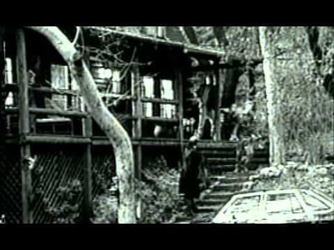 Chameleon - Trailer