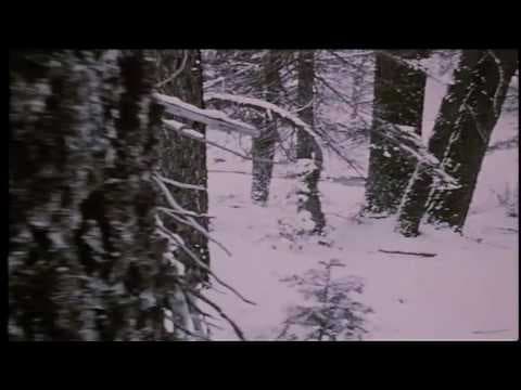 AMERICAN EXPERIENCE: The Donner Party Preview