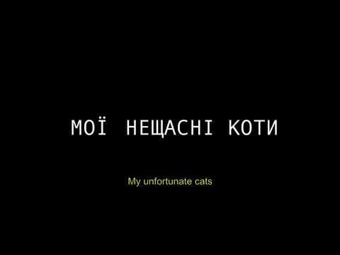 Мої нещасні коти (тизер)/ My unfortunate cats (teaser)