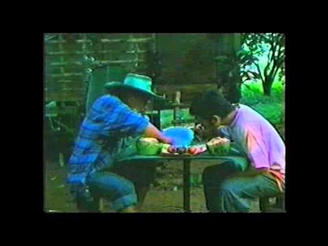 Juan Gulay ( Johnny Veggie) by Roxlee