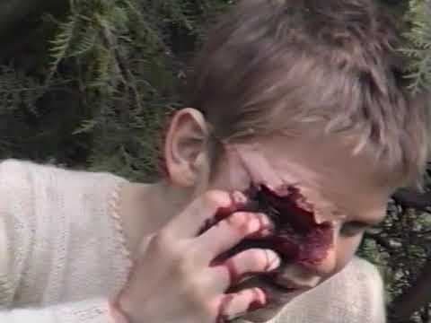Das Wiener Kettensägenmassaker - 25 Jahre Jubiläum (Trailer deutsch)