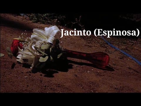 Jacinto (Espinosa)