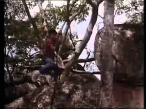My African Adventure / Going Bananas trailer  (Cannon Films)