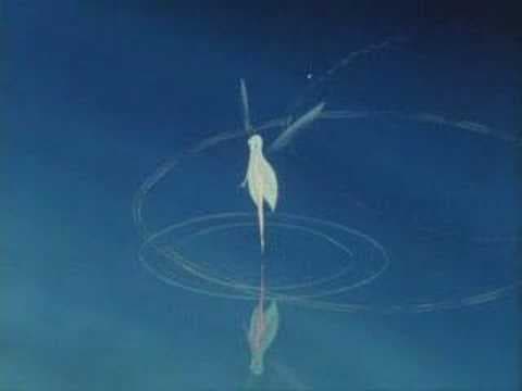 Trailer for Legend of Sirius (1981)