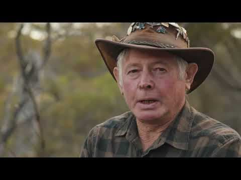 Black Cockatoo Crisis | Trailer
