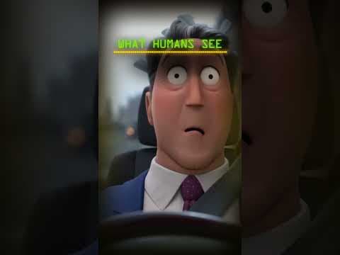 what animals see vs what humans see
