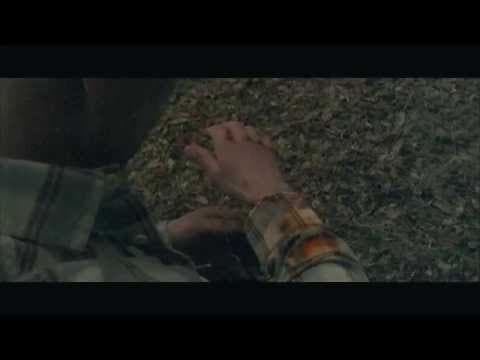 Willitons Way Trailer