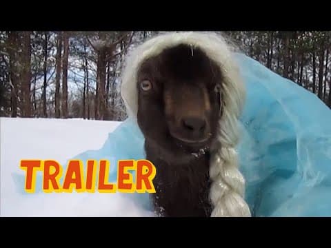 The World's Funniest Animals: Season 3 - Let it Go Trailer (2022)
