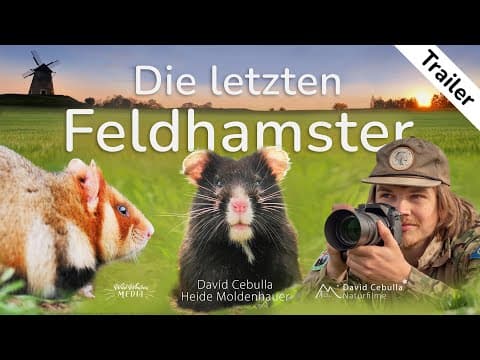 Die letzten Feldhamster | Eine Bedrohte Art | Offizieller Trailer | Deutsch (2025) [4K]