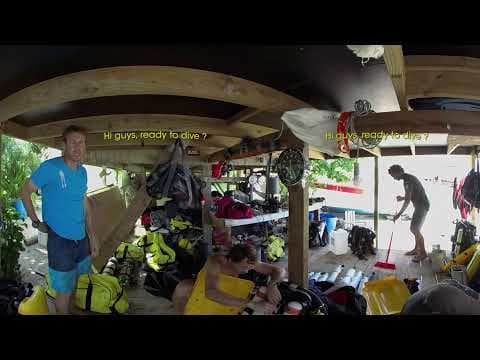 700 SHARKS  Teaser French versions english subtitles