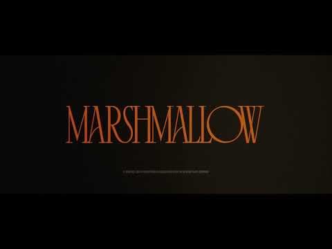 Teaser