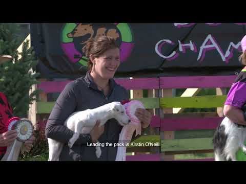 Dogsville Trailer about the dog sports agility world championship with mutts and purebreds competing