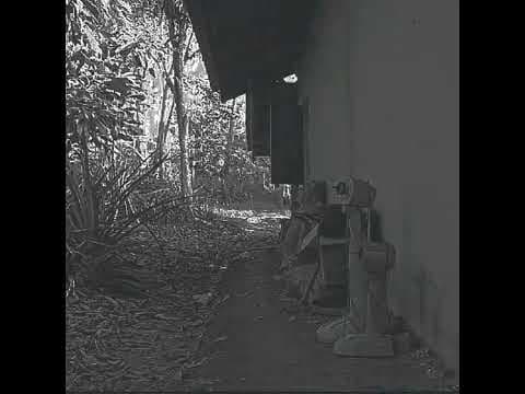 The handsaw murder #horror #music #edit