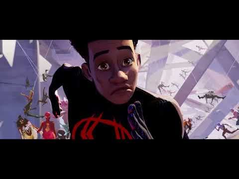 Spider Zoo