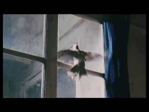 The Bird / L'Oiseau (2012) - Trailer (english subtitles)