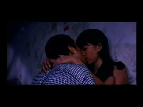 2019桃園電影節 | 20週年特別放映 | 黑暗之光 | Darkness and Light