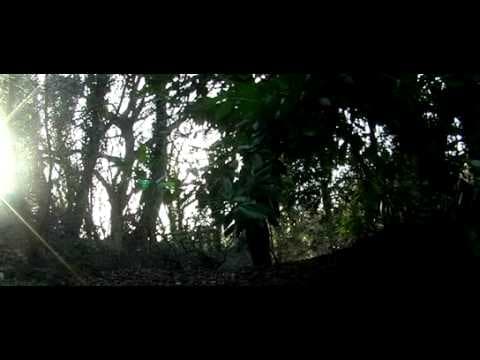 The Graveyard of Death (2005) Trailer Widescreen Reuploaded.