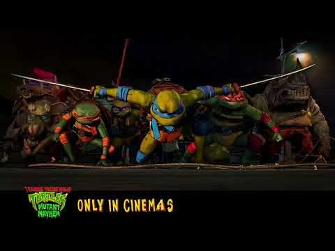 It's turtle-y awesome!