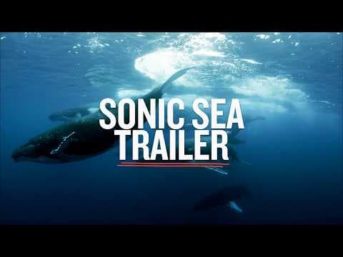 Sonic Sea — Trailer
