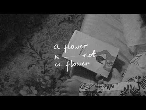 A FLOWER IS NOT A FLOWER - Teaser Trailer