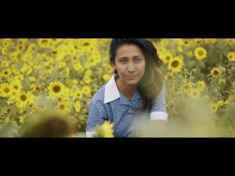 Dreams of Paper & Ink | Official Trailer | HD