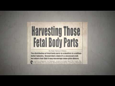 Baby Part for Sale ( partial birth abortion )