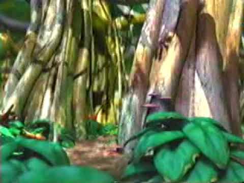 Furby Island Trailer (English)