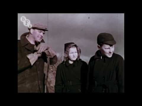 A Year on a Farm by the Sea (1958) | BFI National Archive