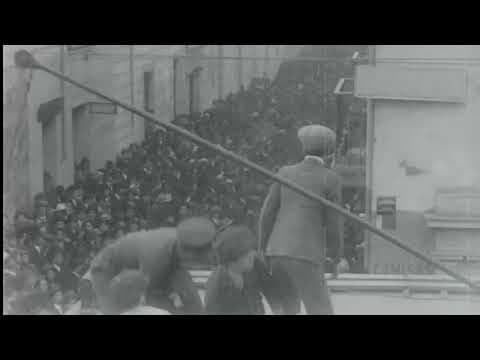 Tráiler "El sonido de los grillos" - Estreno en MIDBO 2022