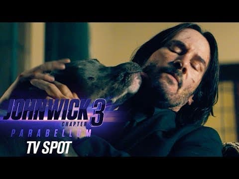 Official TV Spot “Dogs”