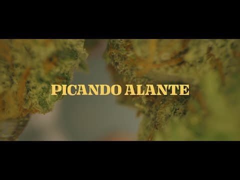 Picando Alante Trailer Oficial