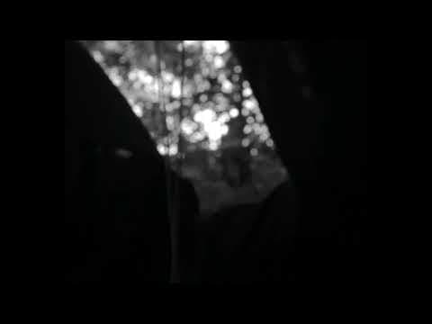 Echo of the Woods Trailer