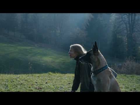 The Animal Remains | Short Film | Trailer