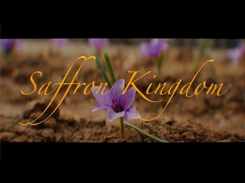 Official Trailer 2