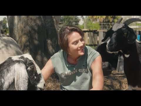 Friends Not Food, the Sitcom Pilot Trailer