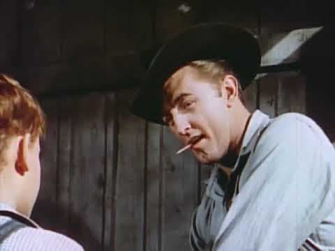 Red Pony Trailer