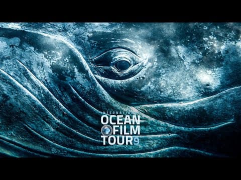 International OCEAN FILM TOUR Volume 9 | Official Trailer