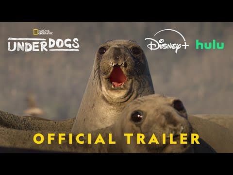 Official Trailer
