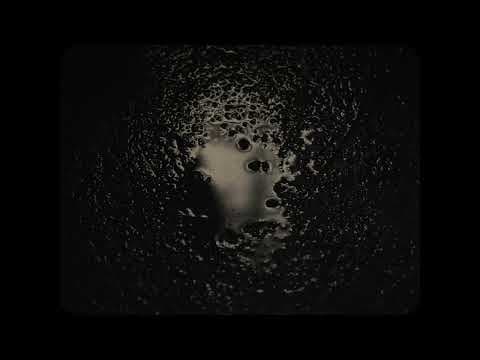 狗与泉 The Dog and the Fountain - Trailer
