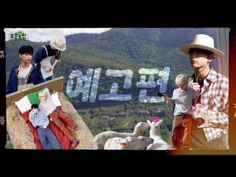 (SUB) 이 차는 어디 갈 거예요? 새벽 세시 반에…? ♧포춘트립 앤팀 하이라이트♧