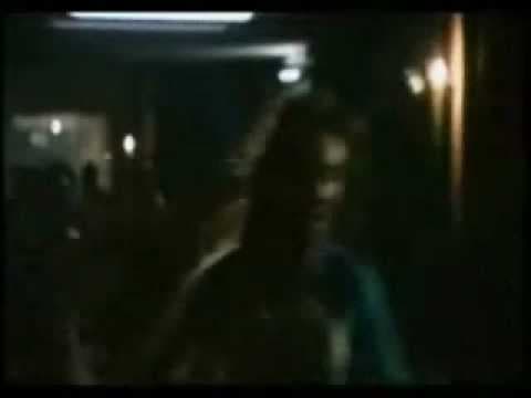 trailer radit dan jani