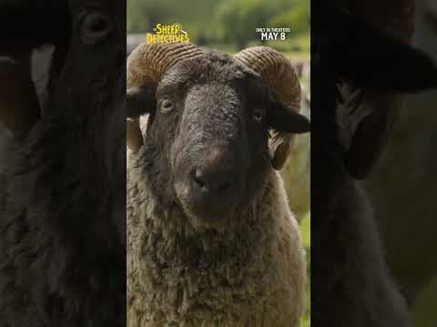 Skills TV Spot