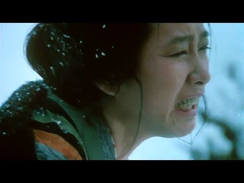 Kita no Hotaru 北の螢 (1984) ORIGINAL TRAILER