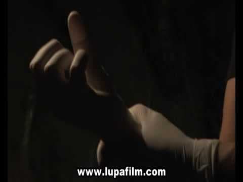 SYMPHONY IN BLOOD RED - COME UNA CRISALIDE (international trailer)