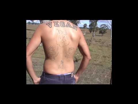 The Animal Condition Trailer