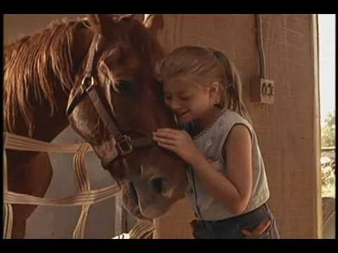 Second Chances Trailer