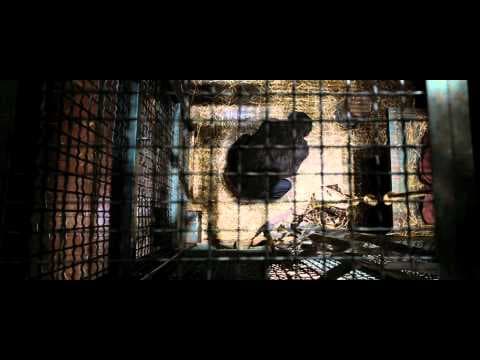 Official International Trailer
