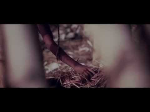 Official Trailer of COLOURKITE
